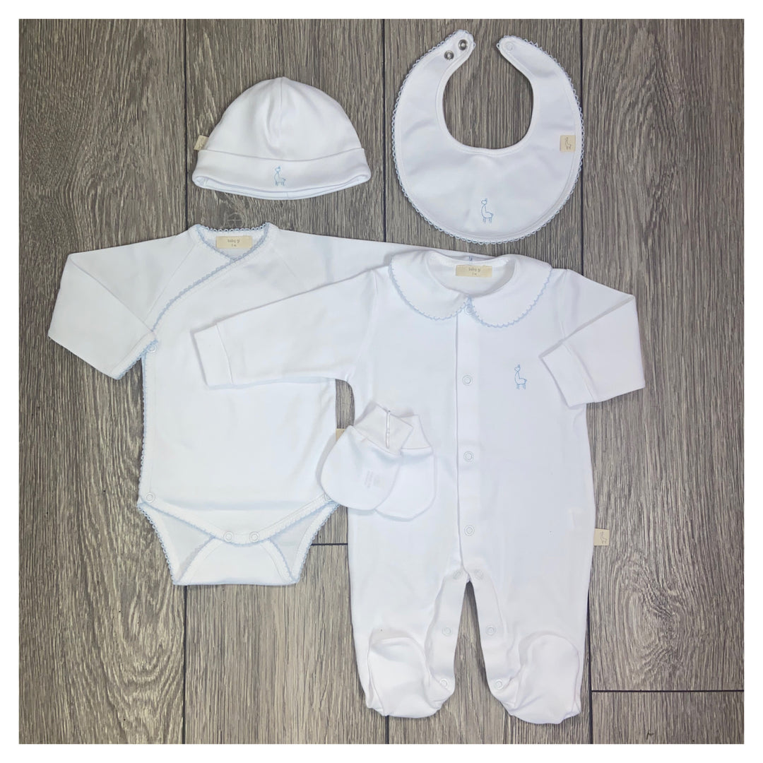 Baby Gi Baby Boys Branded Newborn Set